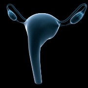 Uterine Cancer related image